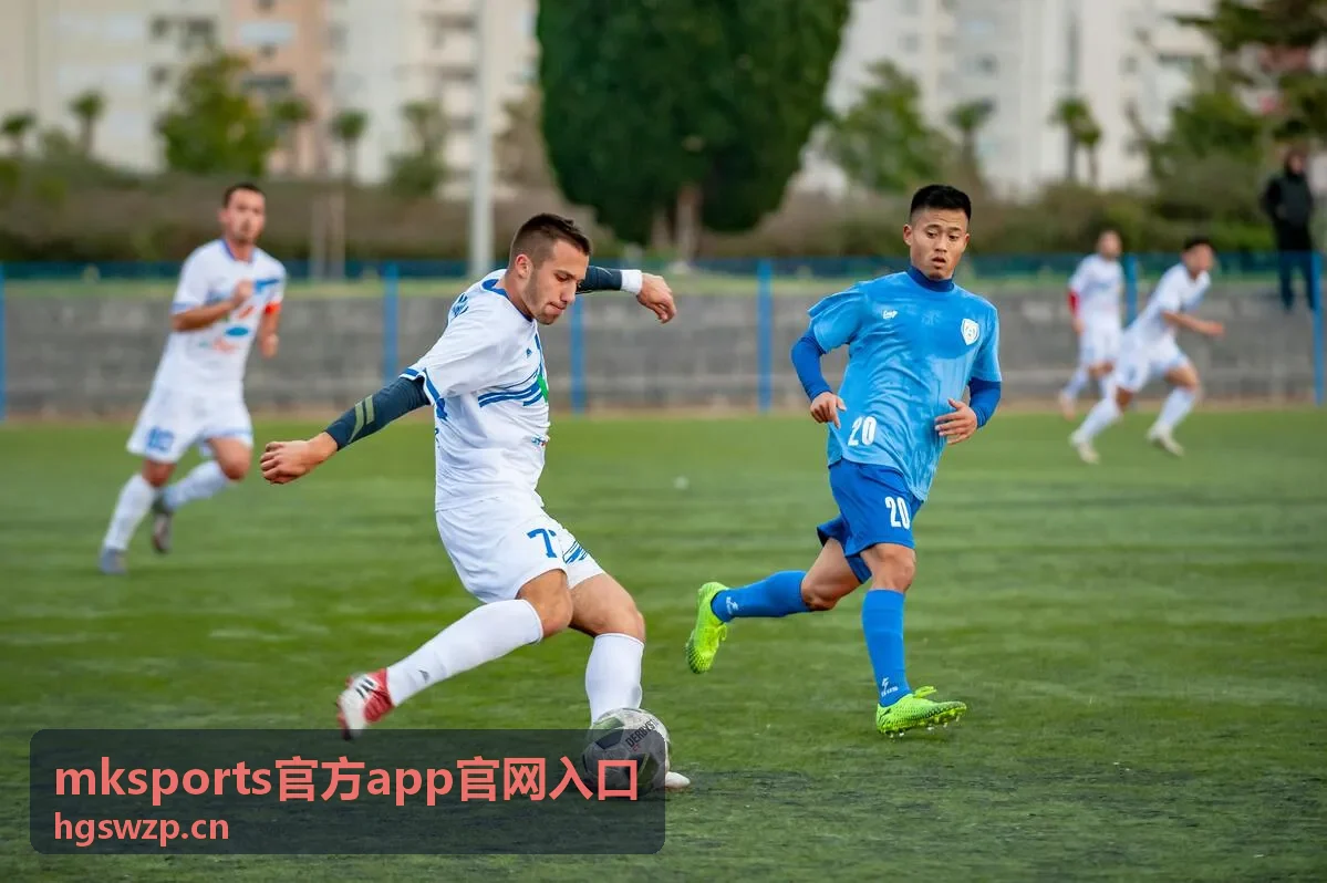 mksports官方app官网入口访问环境检查示意