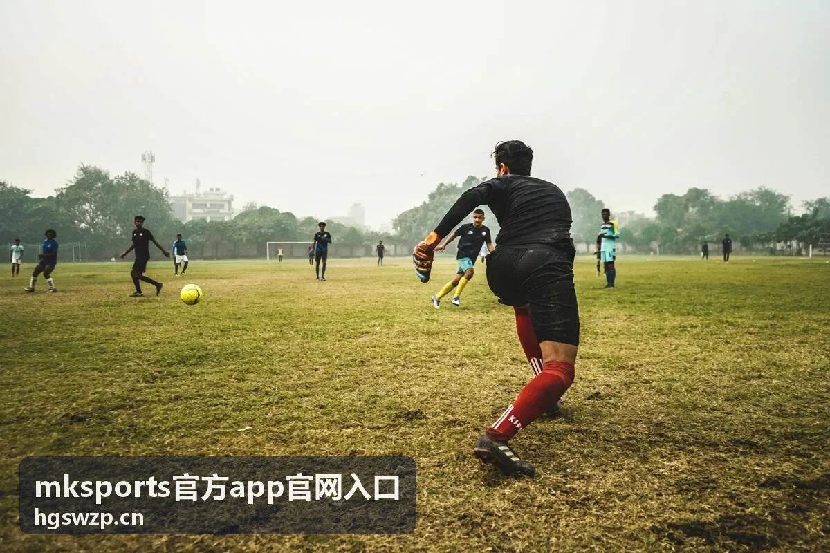 mksports官方app官网入口提醒设置与通知权限页面