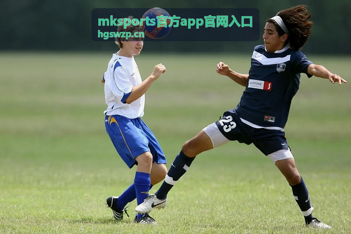 mksports官方app官网入口在移动端查看赛事数据的使用场景