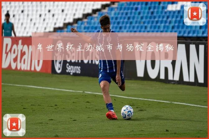 年世界杯主办城市与场馆全揭秘