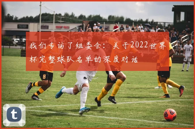 我们专访了组委会：关于2022世界杯完整球队名单的深度对话