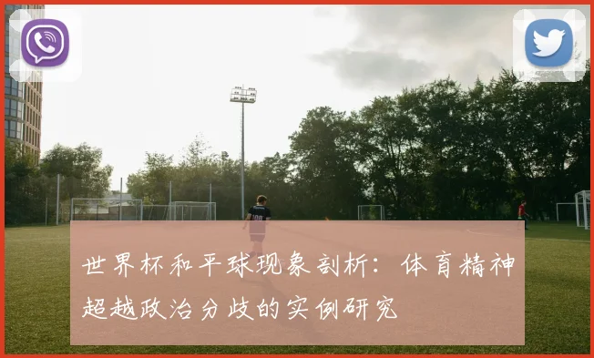 世界杯和平球现象剖析：体育精神超越政治分歧的实例研究
