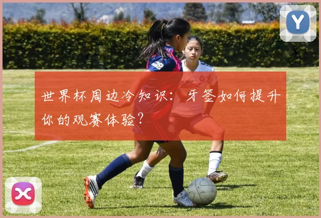 世界杯周边冷知识：牙签如何提升你的观赛体验？